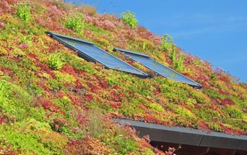 White Cross living roof systems