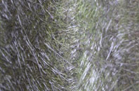 White Cross fibreglass roof work